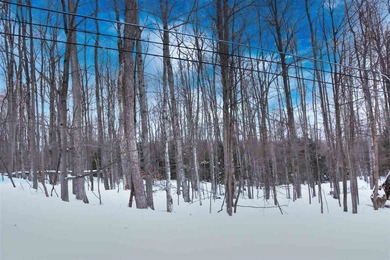 Lake Charlevoix Acreage For Sale in Boyne City Michigan