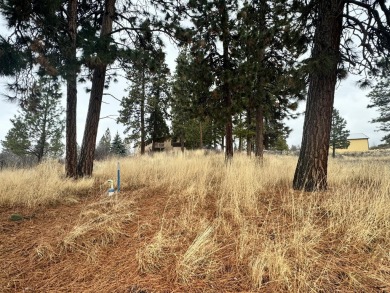 Lake Lot For Sale in Chiloquin, Oregon