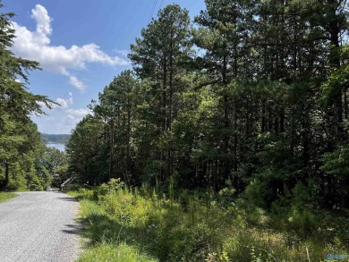 Lake Lot For Sale in Leesburg, Alabama