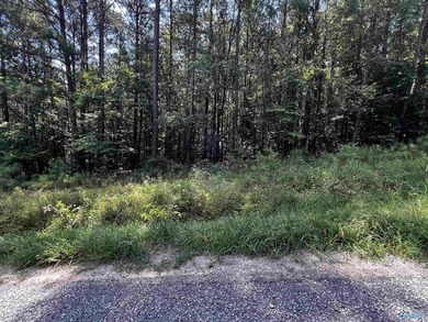 Are you looking for land to build on with water access to the - photo 4