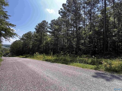 Are you looking for land to build on with water access to the - photo 5