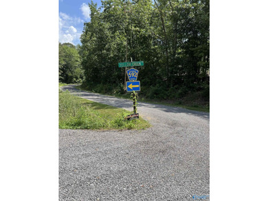 Are you looking for land to build on with water access to the - photo 8