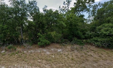 Lake Lot For Sale in Lake Placid, Florida