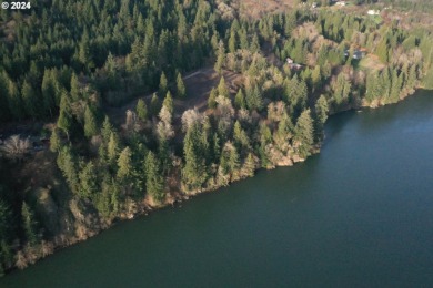 (private lake, pond, creek) Lot For Sale in Cathlamet Washington