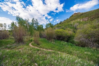 Prime High-Density Residential Development Opportunity in - photo 18