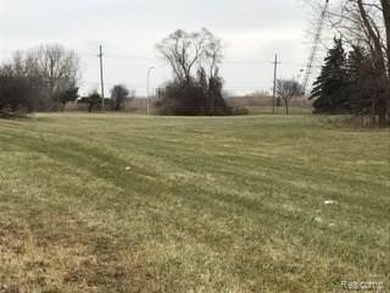 PRIME CORNER LOT ON BUSY FORT ST IN TRENTON. ZONED COMMERICAL - photo 1