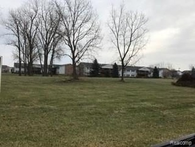 PRIME CORNER LOT ON BUSY FORT ST IN TRENTON. ZONED COMMERICAL - photo 2