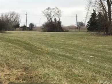 PRIME CORNER LOT ON BUSY FORT ST IN TRENTON. ZONED COMMERICAL - photo 3