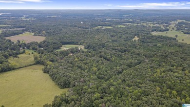 Great Opportunity to invest in Wilsonville! This 19.40 Acre - photo 11