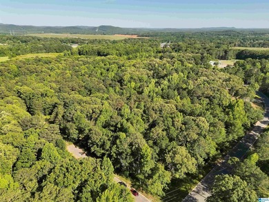 Great Opportunity to invest in Wilsonville! This 19.40 Acre - photo 12