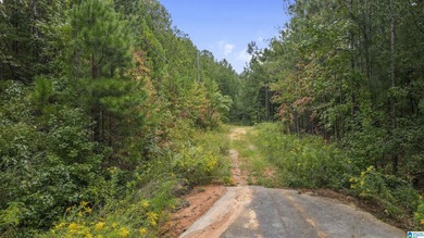 Great Opportunity to invest in Wilsonville! This 19.40 Acre - photo 13