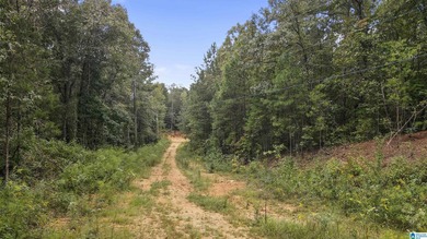 Great Opportunity to invest in Wilsonville! This 19.40 Acre - photo 14