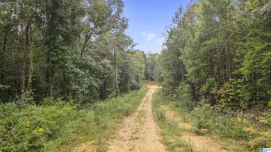 Great Opportunity to invest in Wilsonville! This 19.40 Acre - photo 15