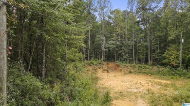 Great Opportunity to invest in Wilsonville! This 19.40 Acre - photo 16