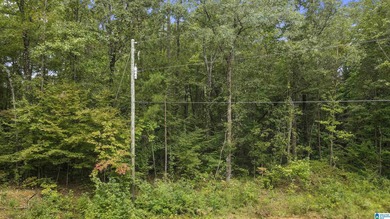 Great Opportunity to invest in Wilsonville! This 19.40 Acre - photo 17