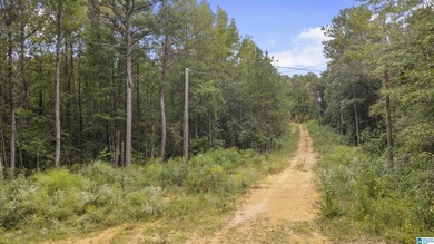 Great Opportunity to invest in Wilsonville! This 19.40 Acre - photo 18