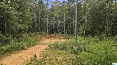 Great Opportunity to invest in Wilsonville! This 19.40 Acre - photo 20
