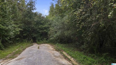 Great Opportunity to invest in Wilsonville! This 19.40 Acre - photo 21