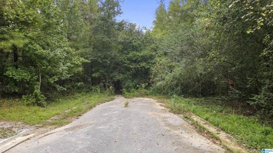 Great Opportunity to invest in Wilsonville! This 19.40 Acre - photo 22