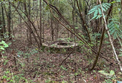 Great Opportunity to invest in Wilsonville! This 19.40 Acre - photo 23