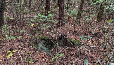 Great Opportunity to invest in Wilsonville! This 19.40 Acre - photo 24