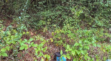 Great Opportunity to invest in Wilsonville! This 19.40 Acre - photo 25