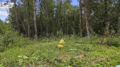 Great Opportunity to invest in Wilsonville! This 19.40 Acre - photo 26
