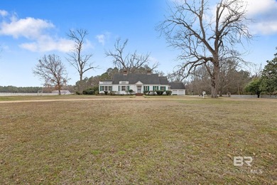 Nestled among majestic oaks and pecan trees, this remarkable - photo 3