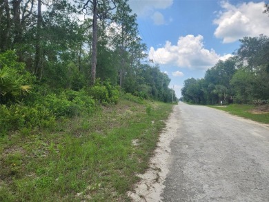 Lake Lot For Sale in Webster, Florida