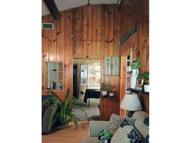 Lake Community, Golf Cart Friendly, Quaint Country Home - photo 8