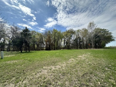 Pond View Lot at Richland Chambers Lake - Lake Lot For Sale in Corsicana, Texas