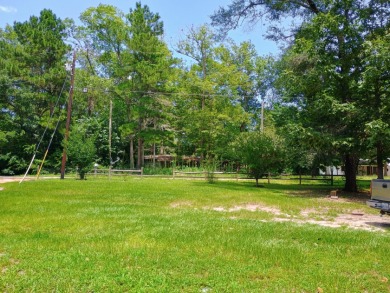 Lake Community, Golf Cart Friendly, Quaint Country Home - photo 29