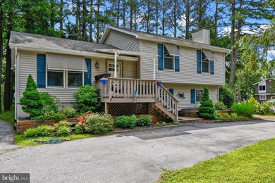 Welcome to 3 Boston Drive in Ocean Pines, a spacious split level - photo 44
