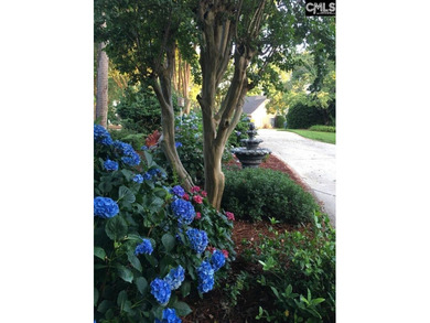 Welcome home to this fantastic Lake Murray waterfront - photo 49