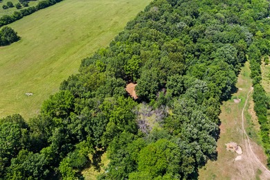Welcome to your own private retreat with approx. 40 ac. of