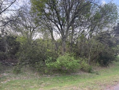 Lake Acreage For Sale in Kopperl, Texas