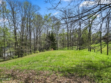 Build your dream home on this stunning .52-acre lot in the River - photo 5