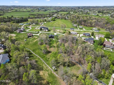 Build your dream home on this stunning .52-acre lot in the River - photo 8