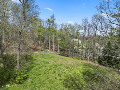 Build your dream home on this stunning .52-acre lot in the River - photo 10