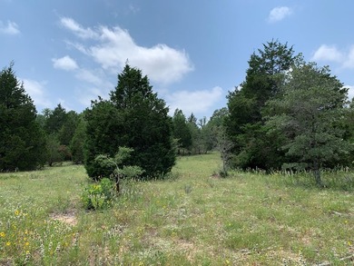 148.715 ACRES - Rolling hills with tremendous elevations, East - photo 2