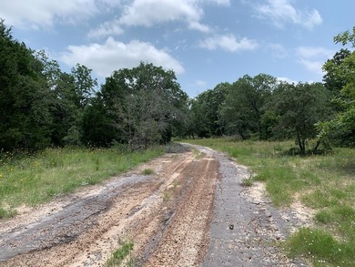 148.715 ACRES - Rolling hills with tremendous elevations, East - photo 3