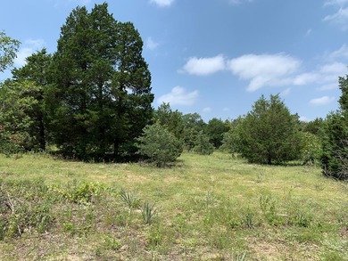 148.715 ACRES - Rolling hills with tremendous elevations, East - photo 4