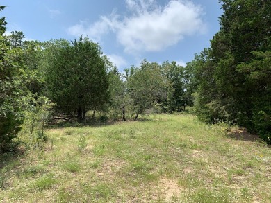 148.715 ACRES - Rolling hills with tremendous elevations, East - photo 5