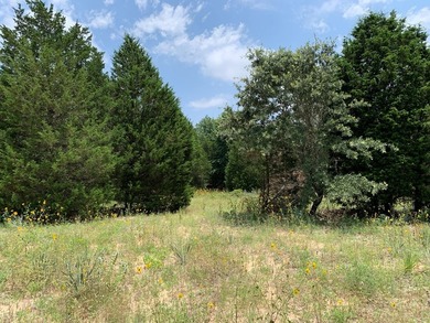 148.715 ACRES - Rolling hills with tremendous elevations, East - photo 6