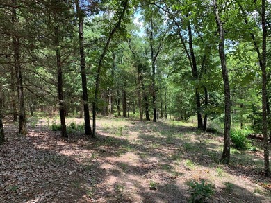 148.715 ACRES - Rolling hills with tremendous elevations, East - photo 7