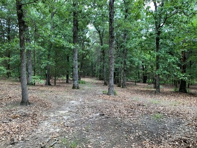 148.715 ACRES - Rolling hills with tremendous elevations, East - photo 9