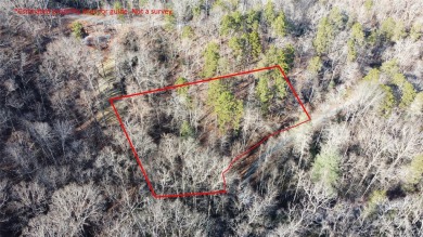 Lake Lot For Sale in Lake Lure, North Carolina