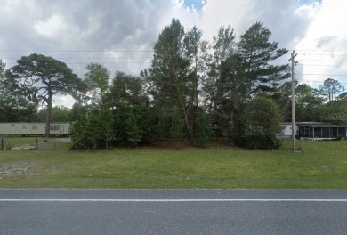 Lake Lot For Sale in Paisley, Florida