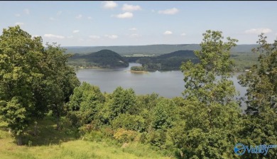 Weiss Lake Lot For Sale in Cedar Bluff Alabama