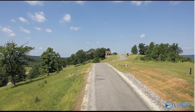 Enjoy extravagant views from the gated community of The Bluffs - photo 3